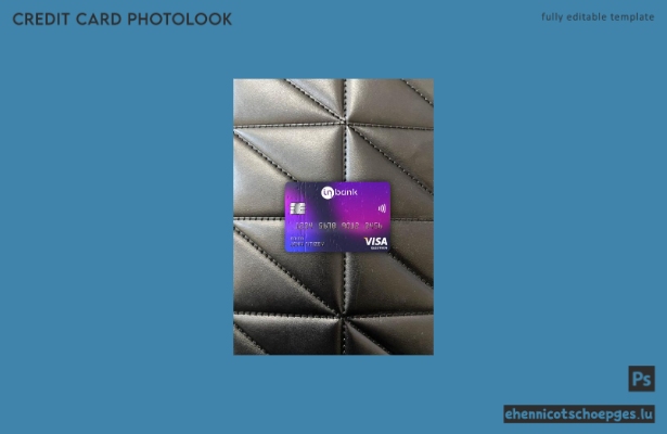 Estonia Idbank Visa Electron Karte Fotoansicht Beispielvorschau